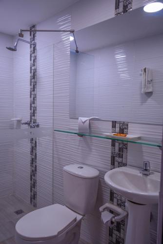 Hotel Palmas del Estadio - Photo 1