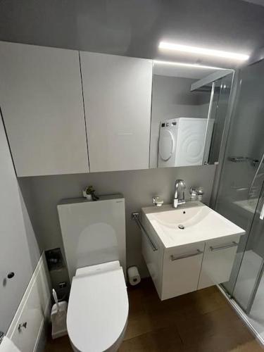 suihku, Privatzimmer in geteilter Wohnung in Vaduz