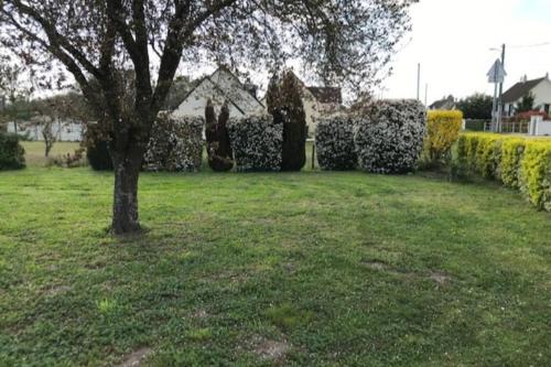 Maison de village et paradis pour les enfants