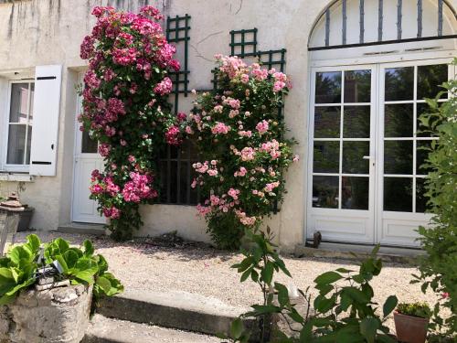 Les Troglos de la Tufolière