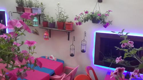 Hotel Antikhan