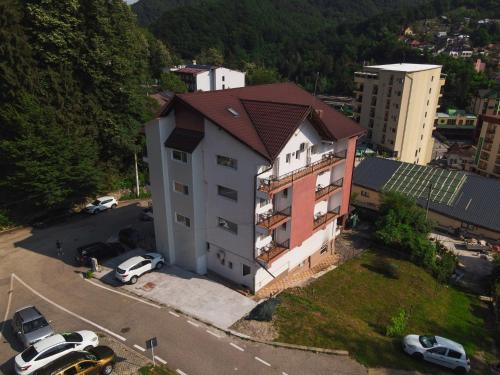 Belvedere Olanesti - image 6