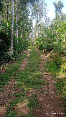 farmer homestay yercaud