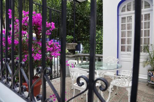 48863527 Hotel Casa Gonzalez
