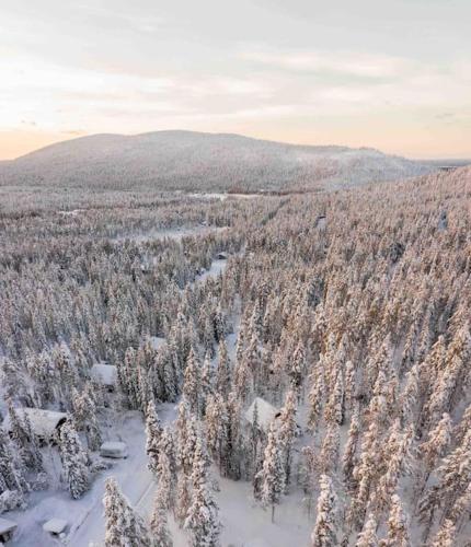 Jänkkärinne Cozy cabin Levi, Lapland