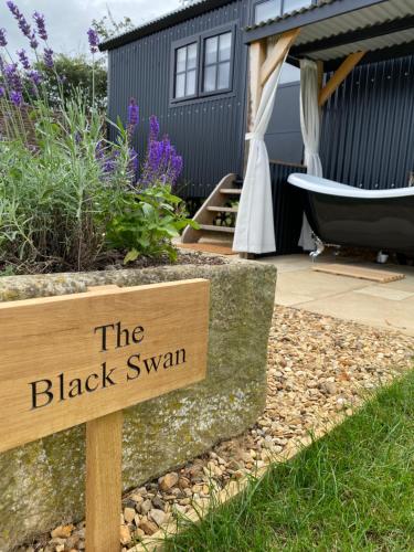 The Black Swan Shepherd Hut, Peterborough