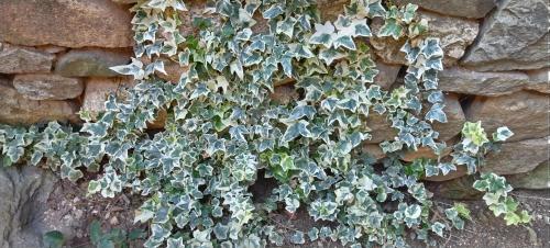 Villa Old House BN - Accommodation - Bitola