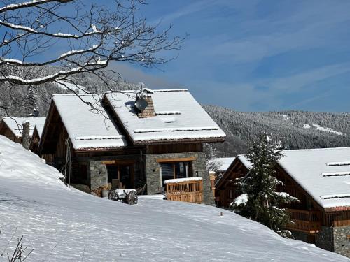 Le Cheval Blanc Luxe, skis aux pieds, jacuzzi, hammam, salle de cinema in Le Raffort