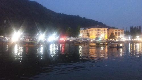 Island, Srinagar (photo 9)