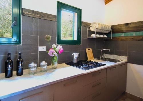 virtuve, ISA-Residence with swimming pool in Guardistallo surrounded by greenery in Guardistallo