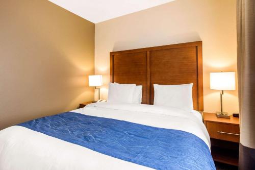 Comfort Inn & Suites IAH Bush Airport - East