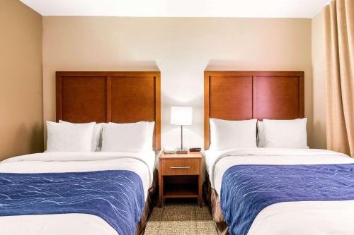 Comfort Inn & Suites IAH Bush Airport - East