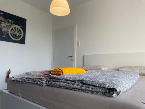  City Apartment close to Linz Central-Private Balcony in Linz