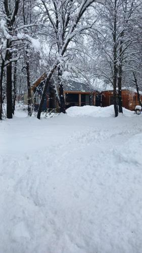 Refugios de Montaña Reloncaví - Ruka Lee III - Chalet - Nevados de Chillán