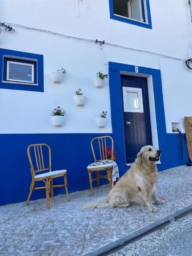 Casa Buganvilla, Alcácer do Sal