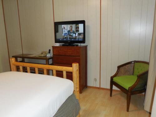 Mountain View Lodge - No Pets allowed - Accommodation - Packwood