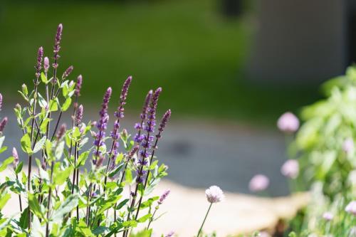 Les Jardins d'Anaïs