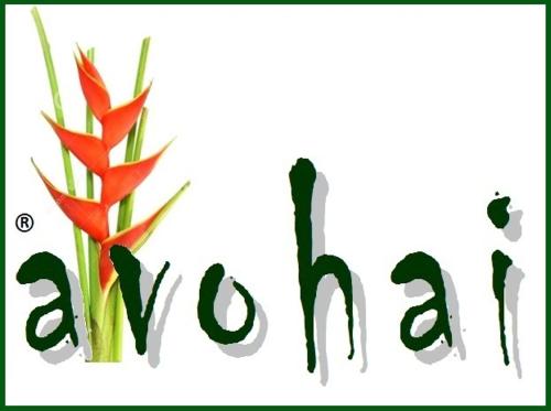 Avohai Lodge