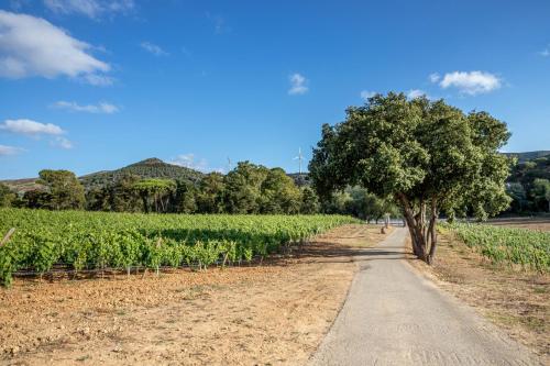 Quinta das Murgas