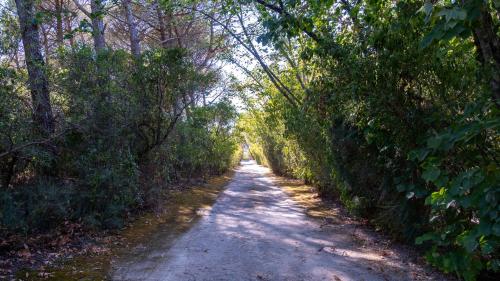 Quinta das Murgas