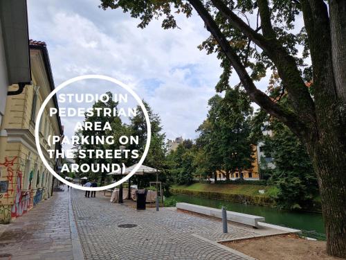 Cube studio by the river (with free bike rental) - image 10