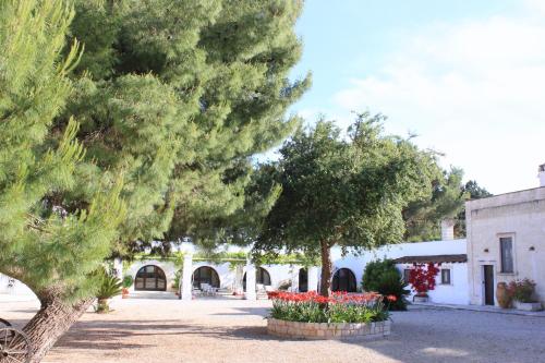 Masseria Incantalupi - image 6