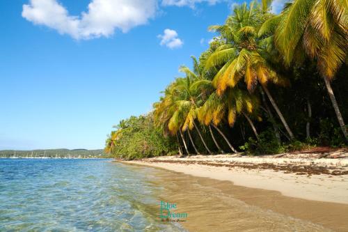 Kaz'détente, Marie Galante, plage Kawann