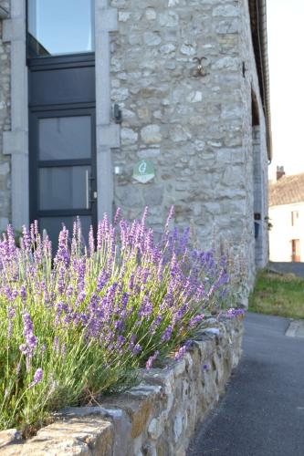 A szálláshely kívülről, Gîte l'éphémère (Gite l'ephemere) in Beaumont