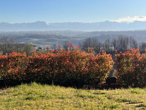 Just Langhe Casa Dolcetto