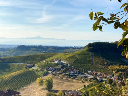 Just Langhe Casa Dolcetto