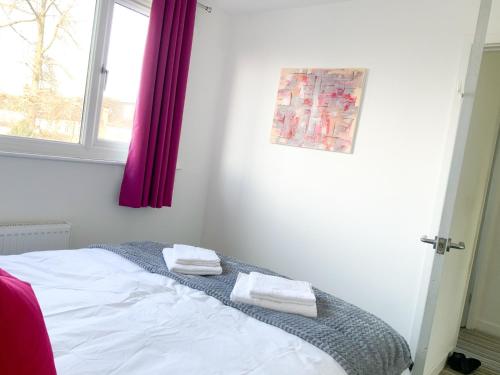 De Montfort House is a lovely 2 bedroom house in the Streatham, London (photo 7)