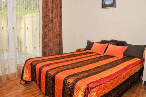 Apartment with Terrace image 6
