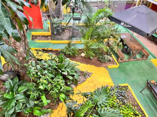 Panama House Bed & Breakfast - image 3