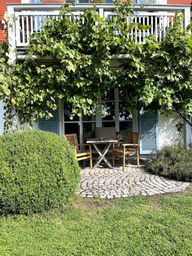 Sonnige Wohnung mit Garten am fränkischen Seenland