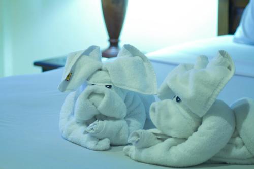 Superior Double or Twin Room image 5