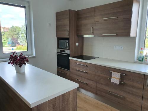 keuken, Apartmán Ostrov nad Oslavou (Apartman Ostrov nad Oslavou) in Nove Veseli