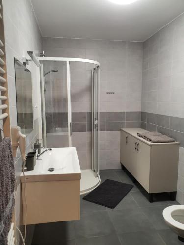 douche, Apartmán Ostrov nad Oslavou (Apartman Ostrov nad Oslavou) in Nove Veseli