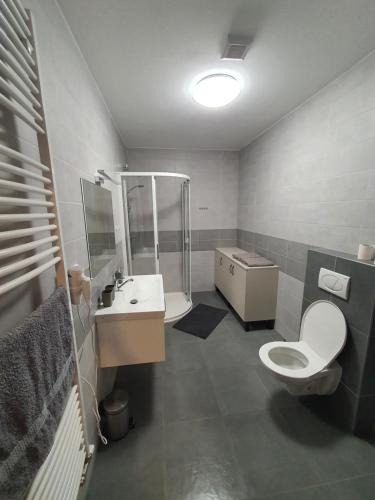 Badkamer, Apartmán Ostrov nad Oslavou (Apartman Ostrov nad Oslavou) in Nove Veseli
