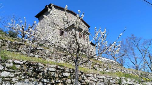 La casa del girasole