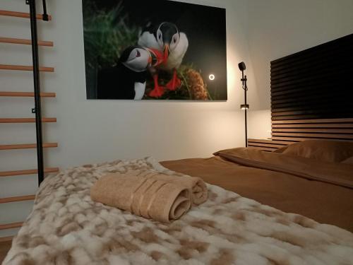 Puffin Nest, Superior Apartment - Reykjavík