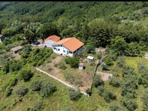 Anthony House - Trivento