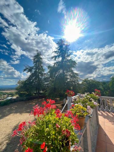  Casa con finca en Pol, Monforte de Lemos in Monforte de Lemos