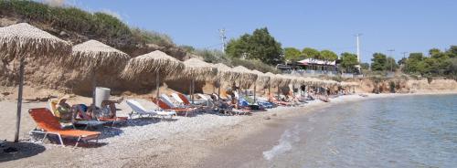 Epavlis Beach Resort