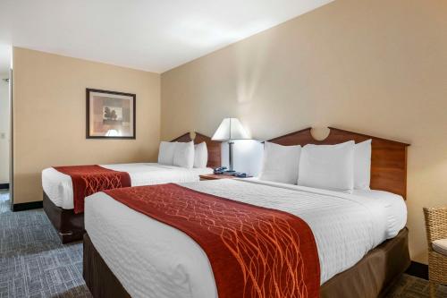 2 queen beds