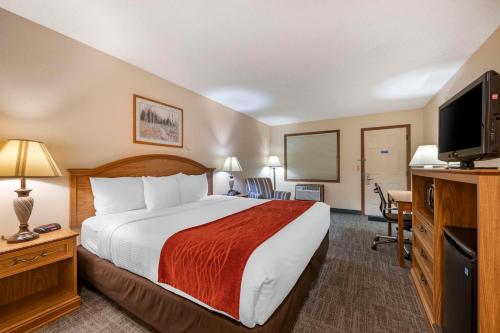 1 king bed