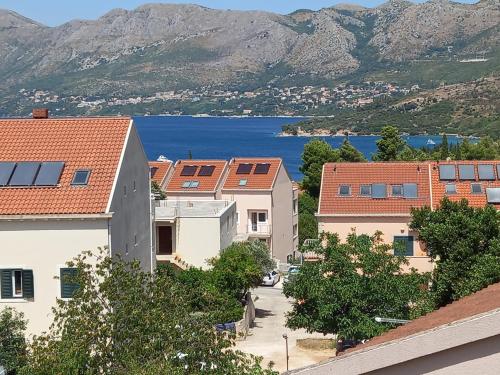 景觀, Apartments with parking space Cavtat, Dubrovnik - 2132 in 察夫塔特