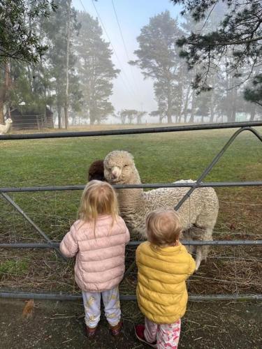 Relaxing at acreage farmhouse