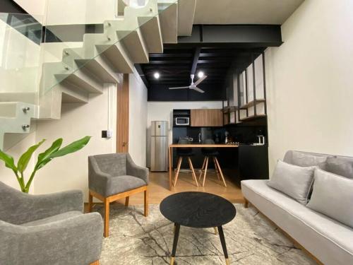 Loft Doble Altura / Chapu 102 @serra