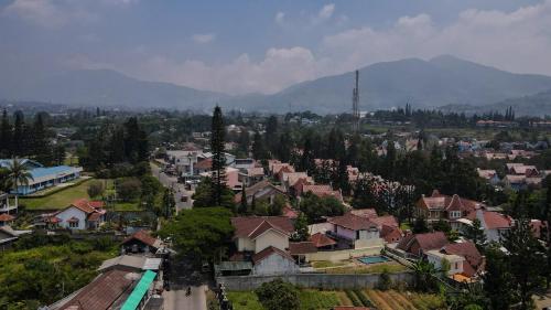 Villa Puncak Kota Bunga, Swarna Villa Swimming Pool