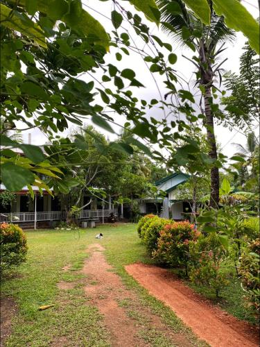 Coconut Grove - Midigama Coconut Grove - Midigama